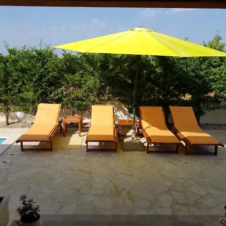 Susann * שיבניק