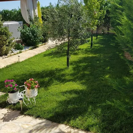 Susann * Sibenik