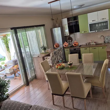 Susann * シベニク