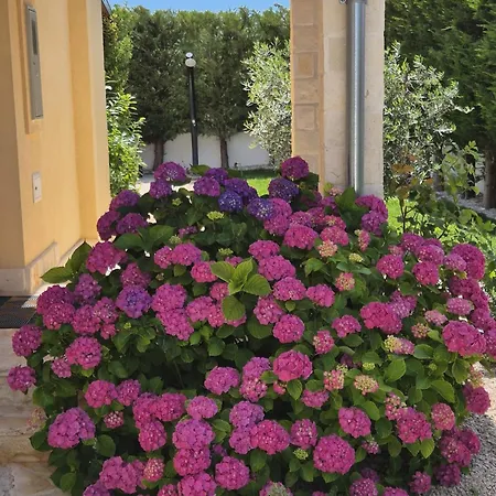 Susann Villa